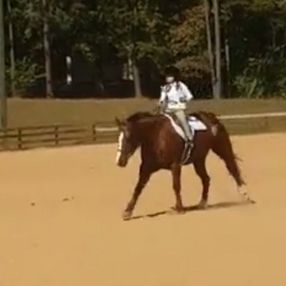 amandahood78